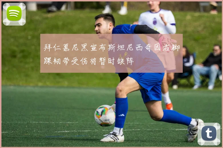 拜仁慕尼黑宣布斯坦尼西奇因右脚踝韧带受伤将暂时缺阵